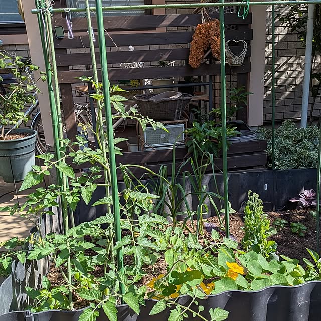 botanさんの部屋