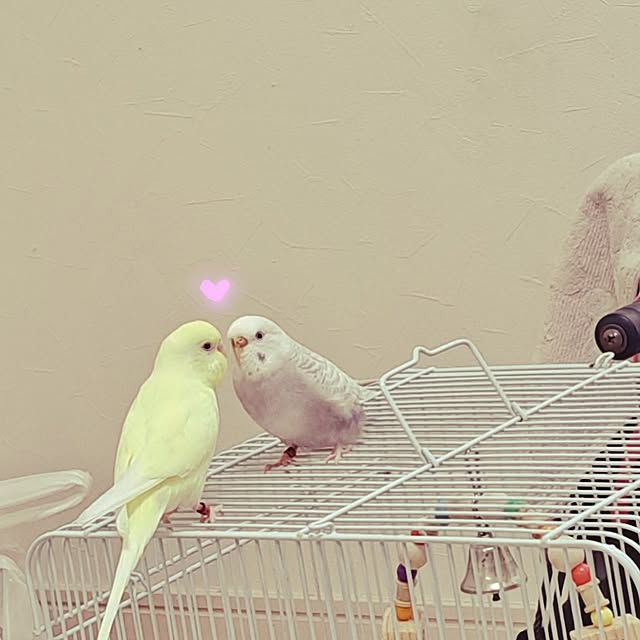blueさんの実例写真
