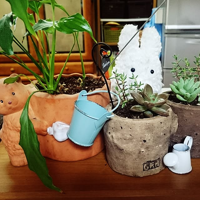 POOTAさんの実例写真