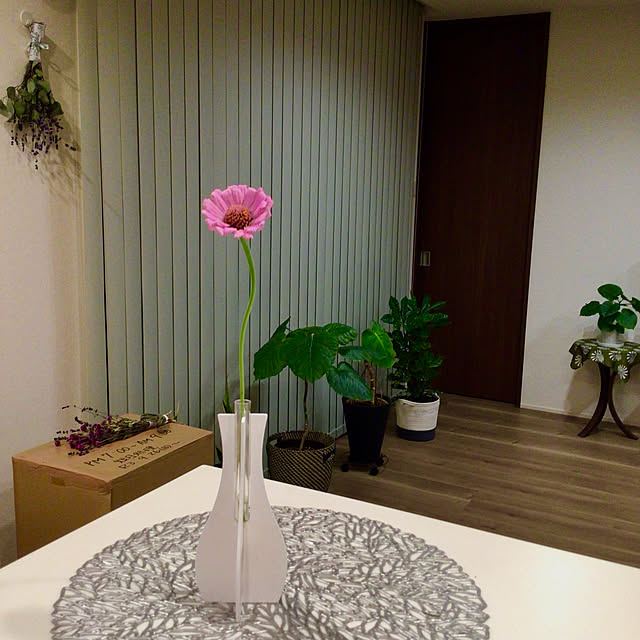 houenさんの実例写真