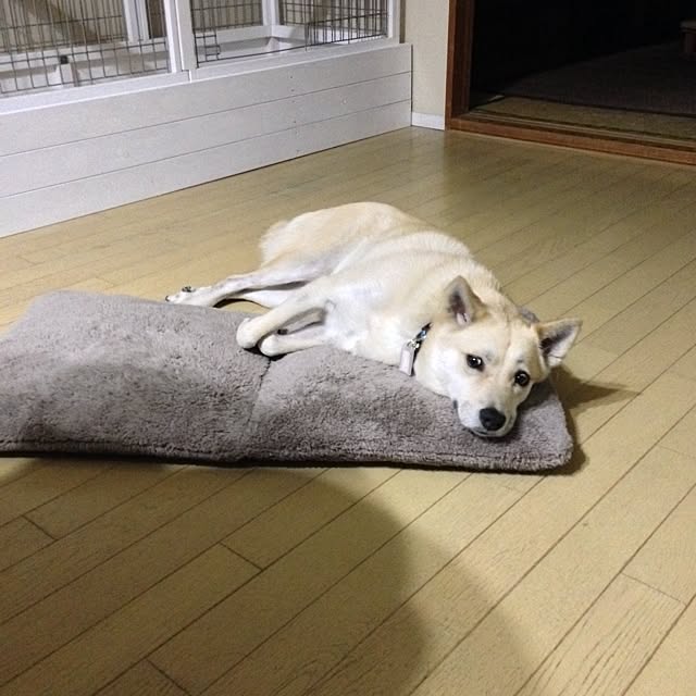 leonaさんの実例写真