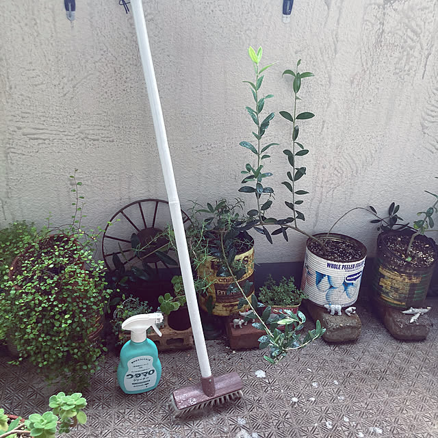 heidiさんの部屋