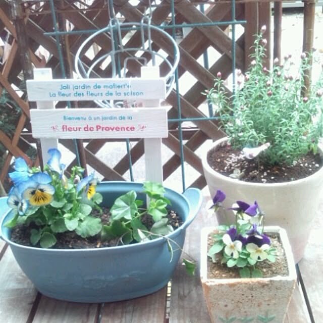 asa0521さんの実例写真