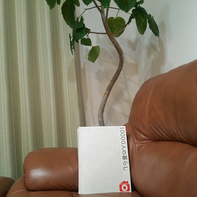 icchiさんの実例写真