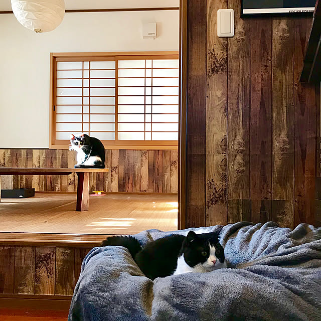 butachanさんの実例写真