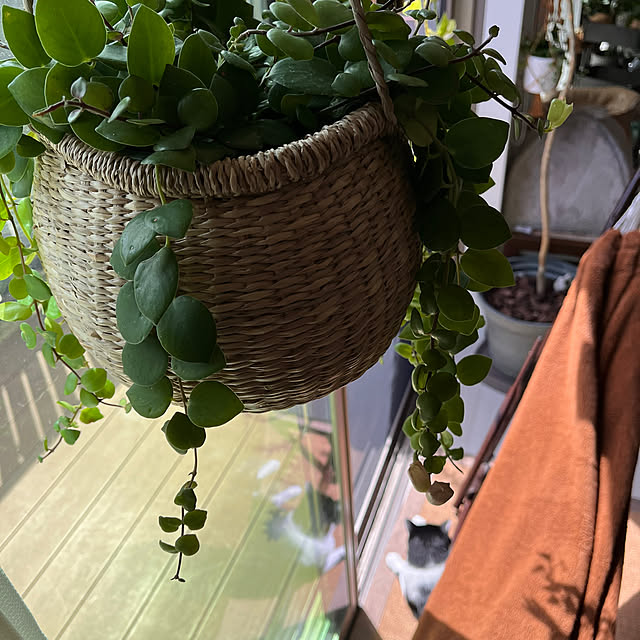 kojimasaさんの部屋