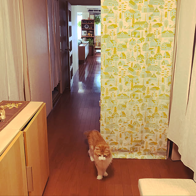 uchidaizuさんの実例写真