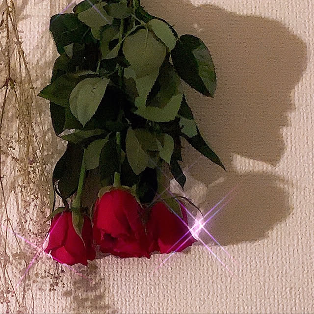 olive18さんの実例写真