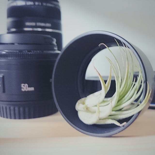 jules_takeさんの実例写真