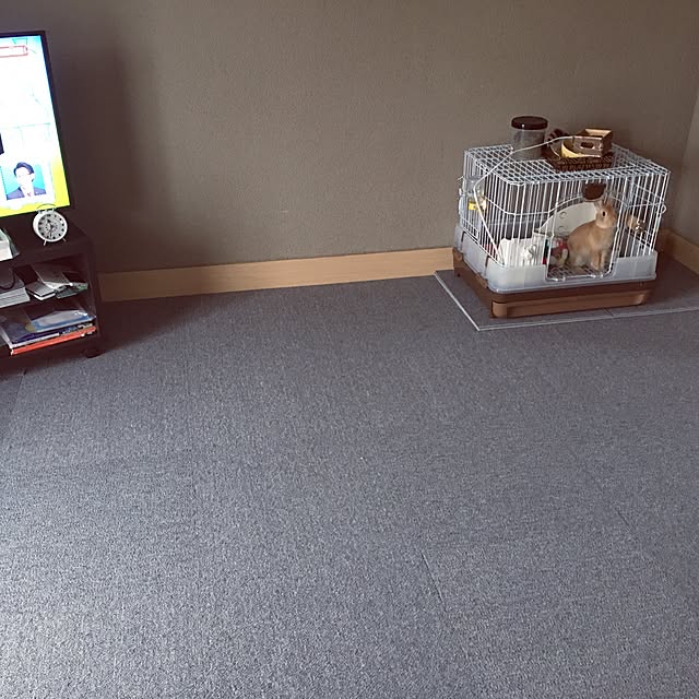 chanatsuさんの実例写真