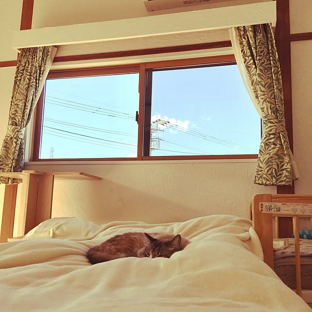 masyacanonさんの実例写真