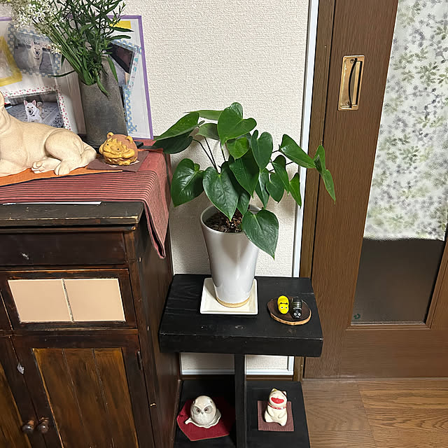 ritsukoさんの部屋