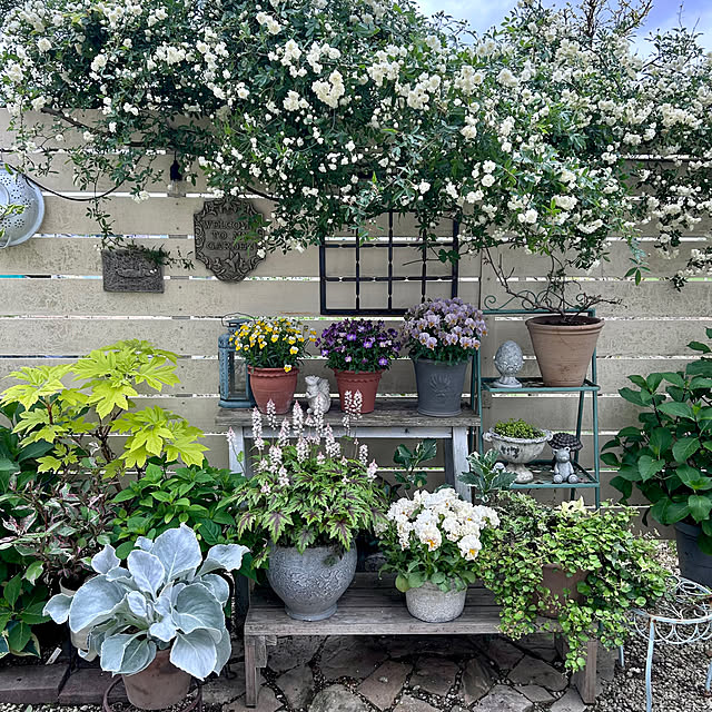 komakiさんの実例写真