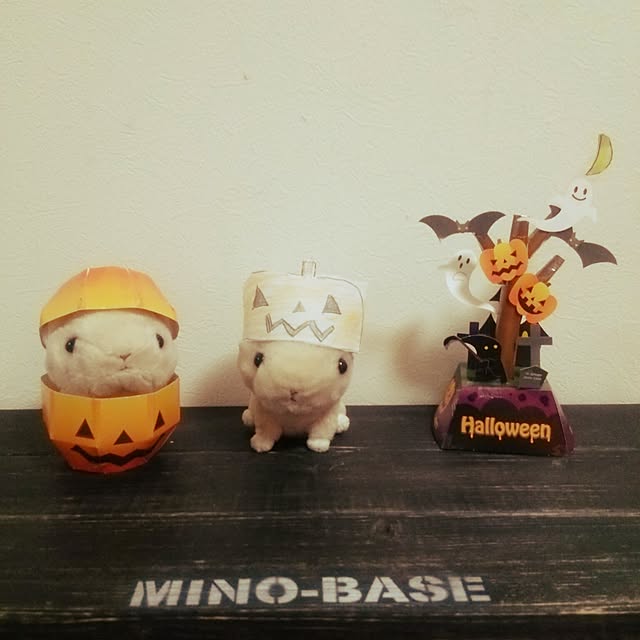 minobe0311さんの実例写真