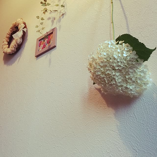 mikaさんの実例写真
