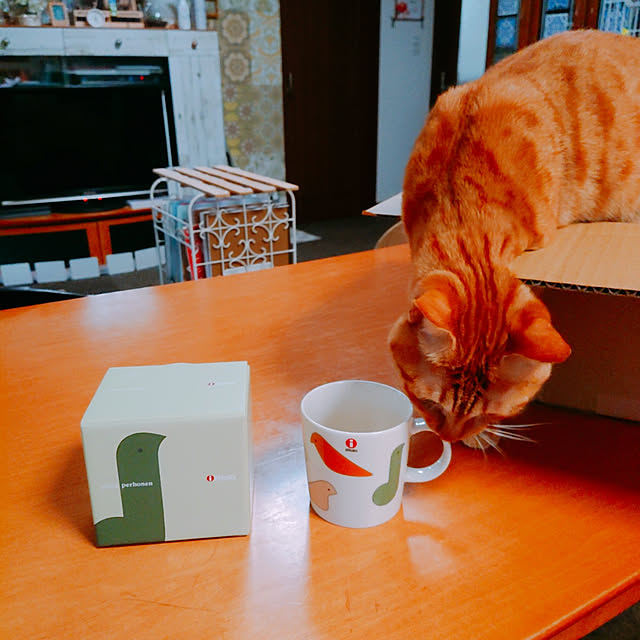 kikiさんの実例写真