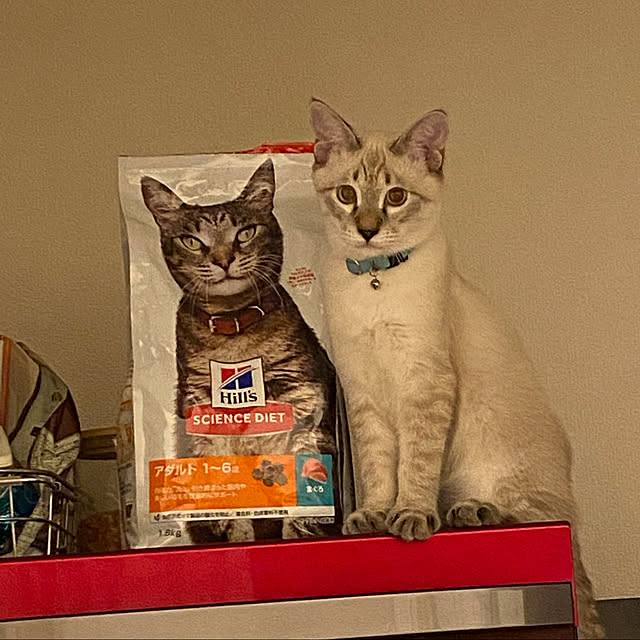 miiyさんの実例写真