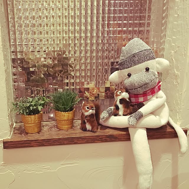 Misuzuさんの実例写真