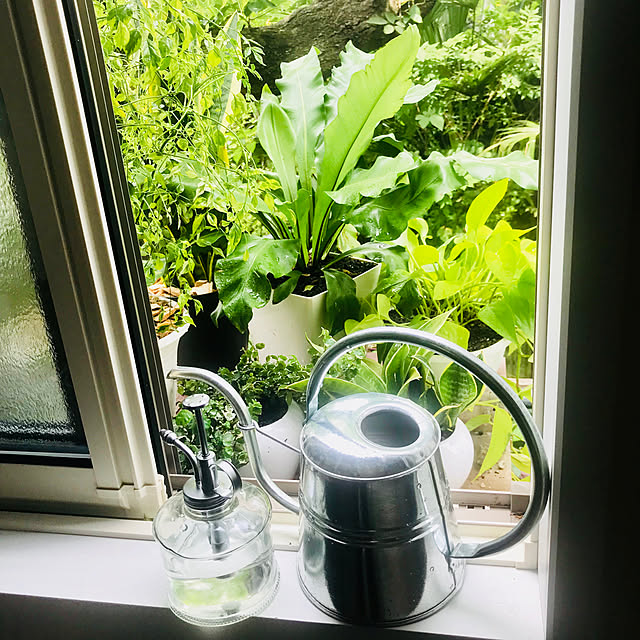 BUNさんの実例写真