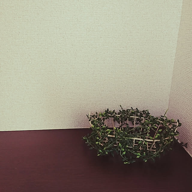 akiaさんの実例写真