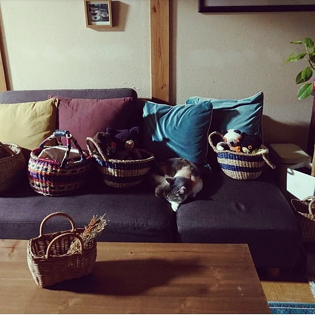 fukuさんの部屋