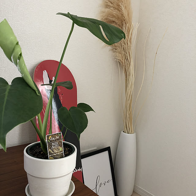 tomoさんの実例写真
