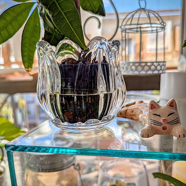 mi-saさんの部屋