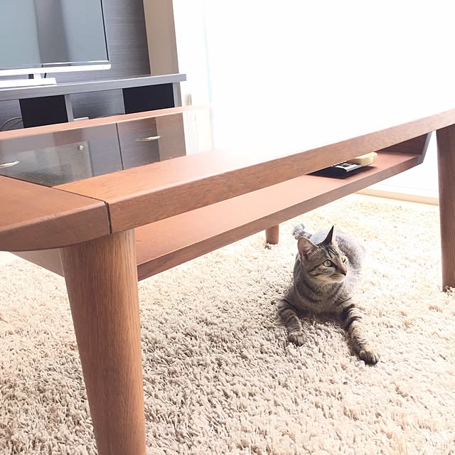 Yoshihiroさんの実例写真