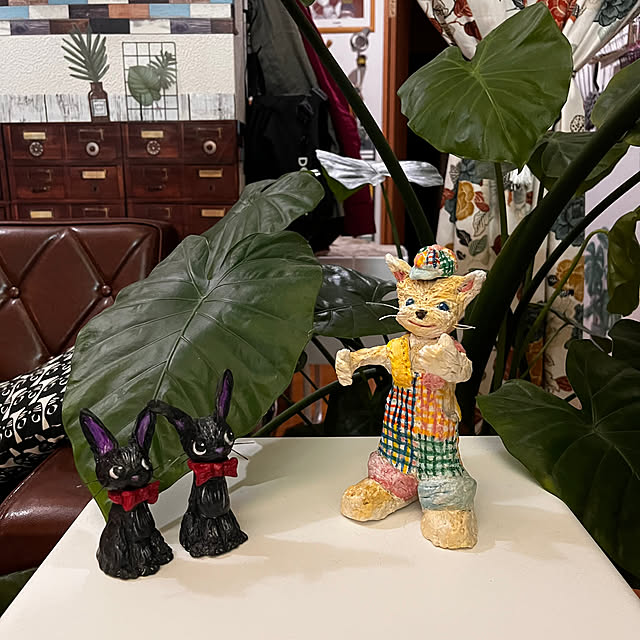 jijiさんの部屋