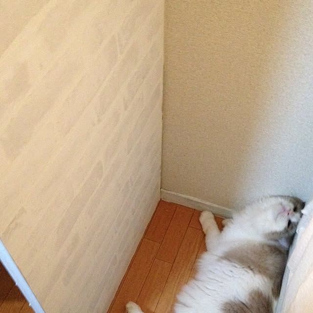 runtenさんの実例写真