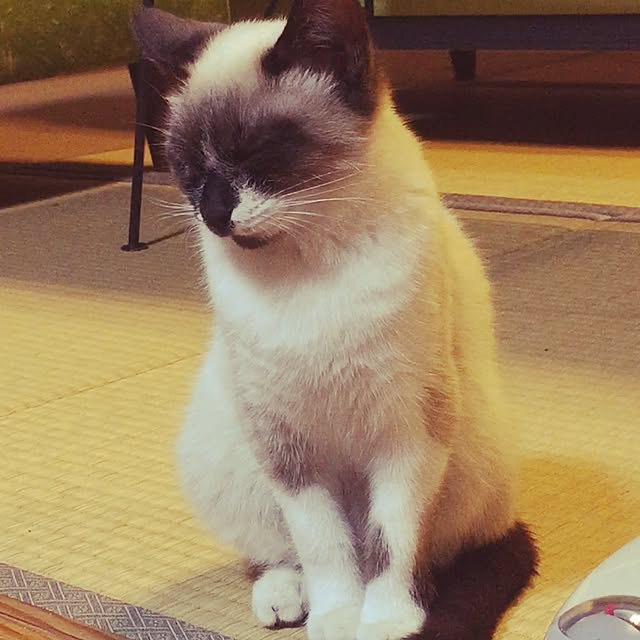 willsoldhouseさんの実例写真