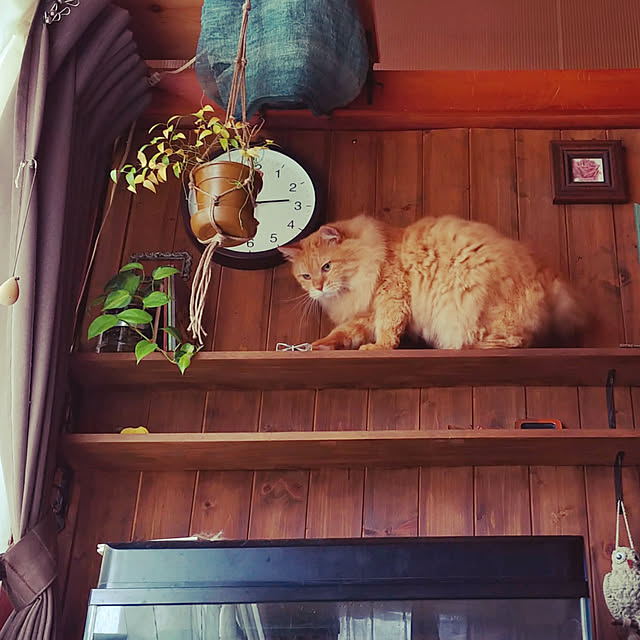 choku3さんの実例写真