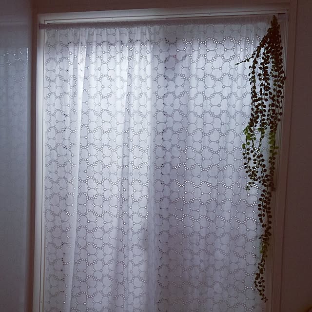 Kanaさんの実例写真