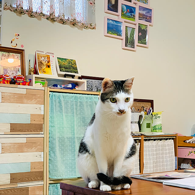 pcu110さんの実例写真