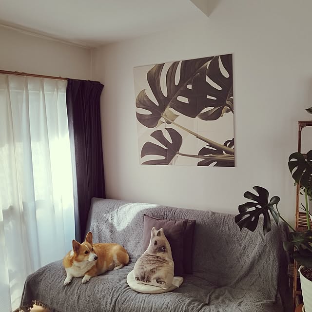 animallandさんの部屋