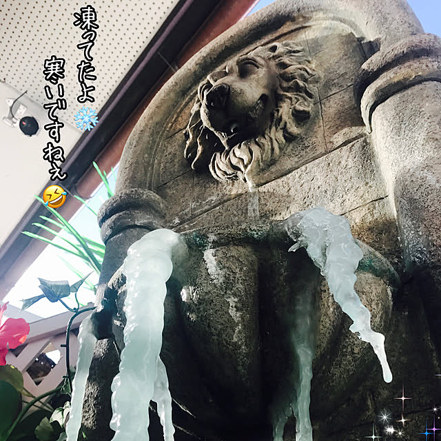michaelさんの実例写真