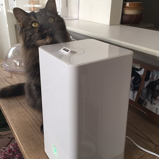 mikomaruさんの実例写真