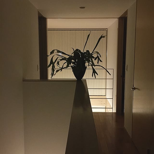OkLettuceさんの実例写真