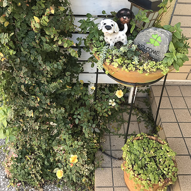 miya.ayaさんの実例写真
