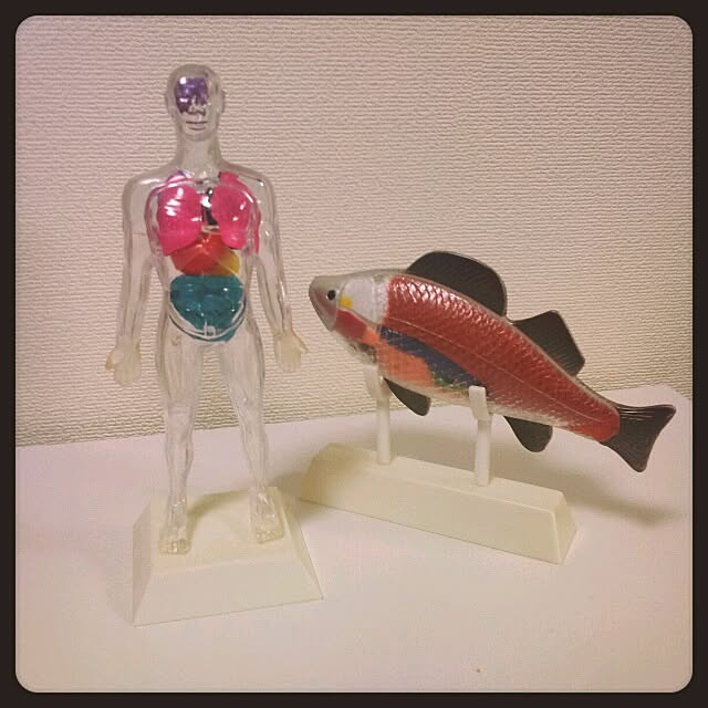 kayochingさんの実例写真