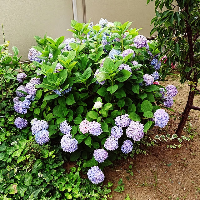 keitaさんの実例写真