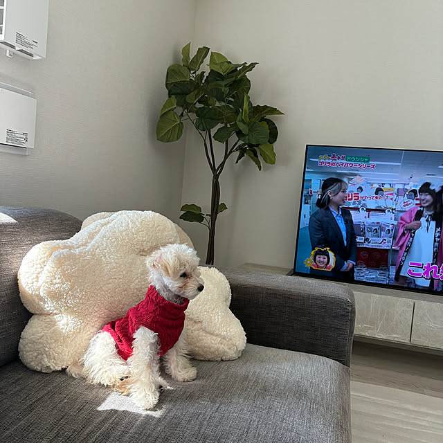 yupaさんの実例写真