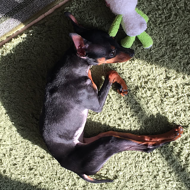 LUNAさんの実例写真