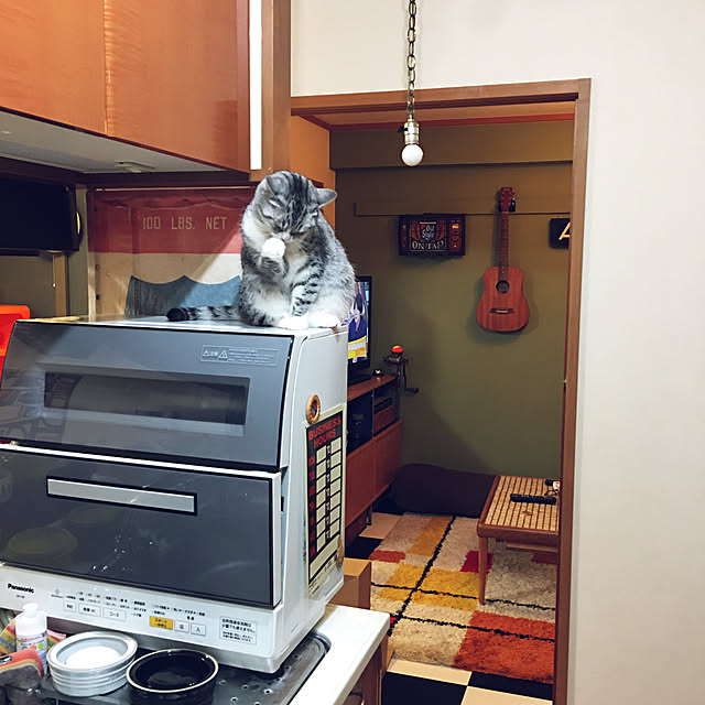 Shojiさんの実例写真