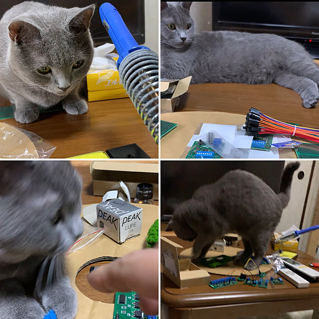 masaさんの実例写真