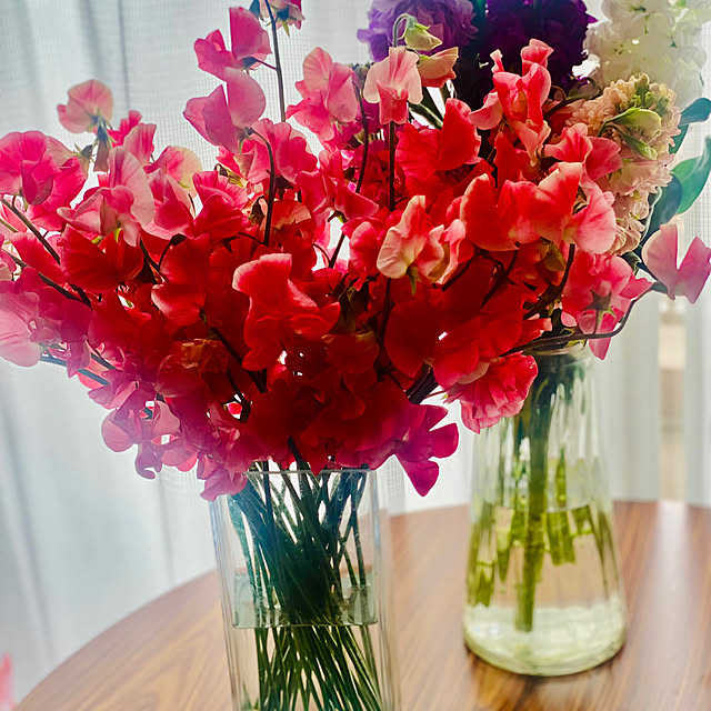 gurigura.tさんの部屋