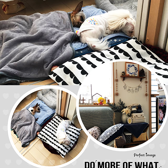 loliontoaliceveさんの実例写真