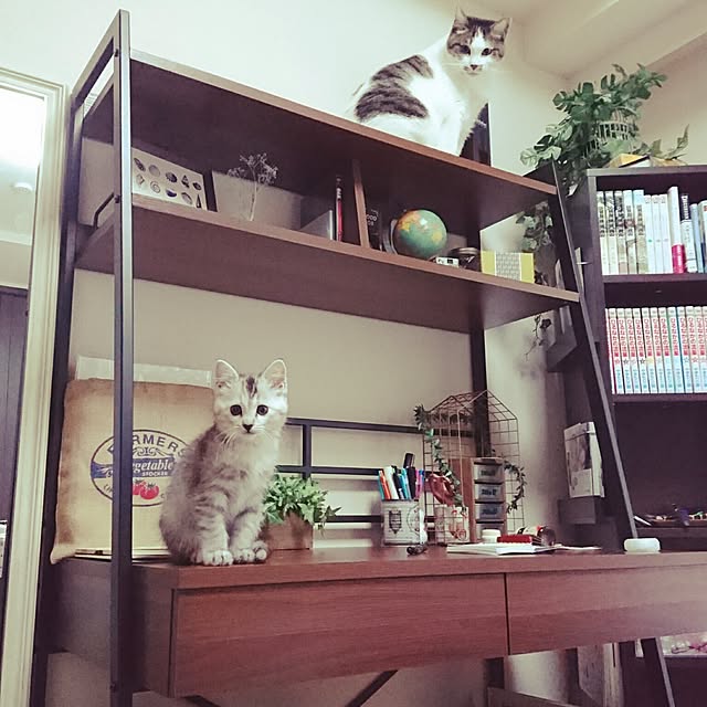 Michaelさんの実例写真
