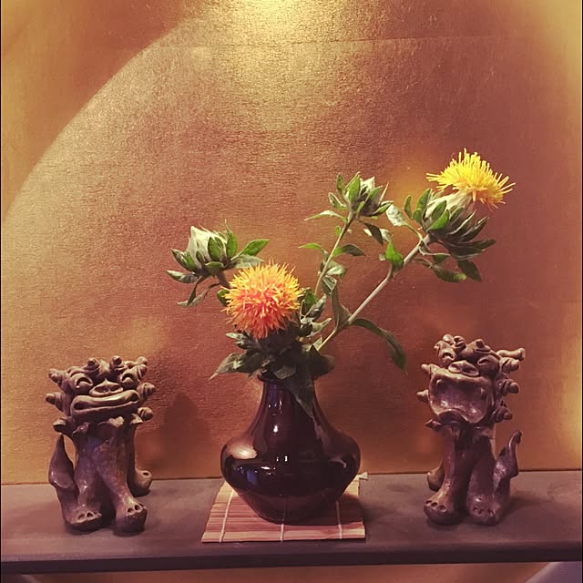 Y0206さんの実例写真