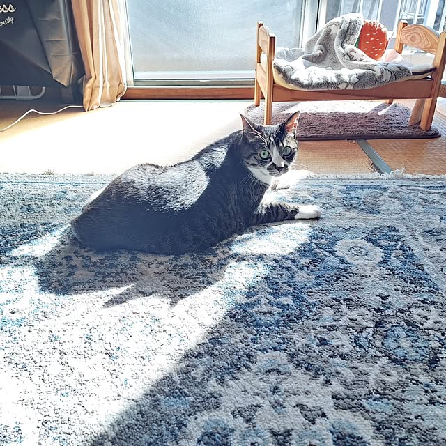 shinoさんの部屋